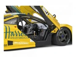 Solido Rennwagen McLaren F1 GTR #51 1:18 -Cast Modelle Verkaufe 222976587 xxl