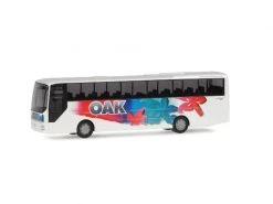 Rietze Automodelle Car MAN Lion's Star OAK Aare Seeland 1:87